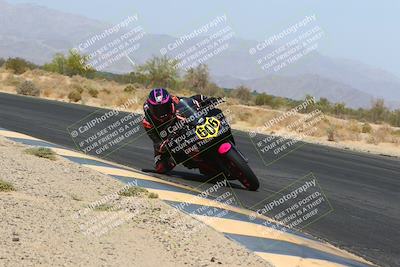 media/Apr-10-2022-SoCal Trackdays (Sun) [[f104b12566]]/Turn 7 Inside (1025am)/